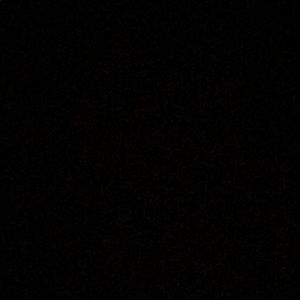 Meet your Posher, Ricky